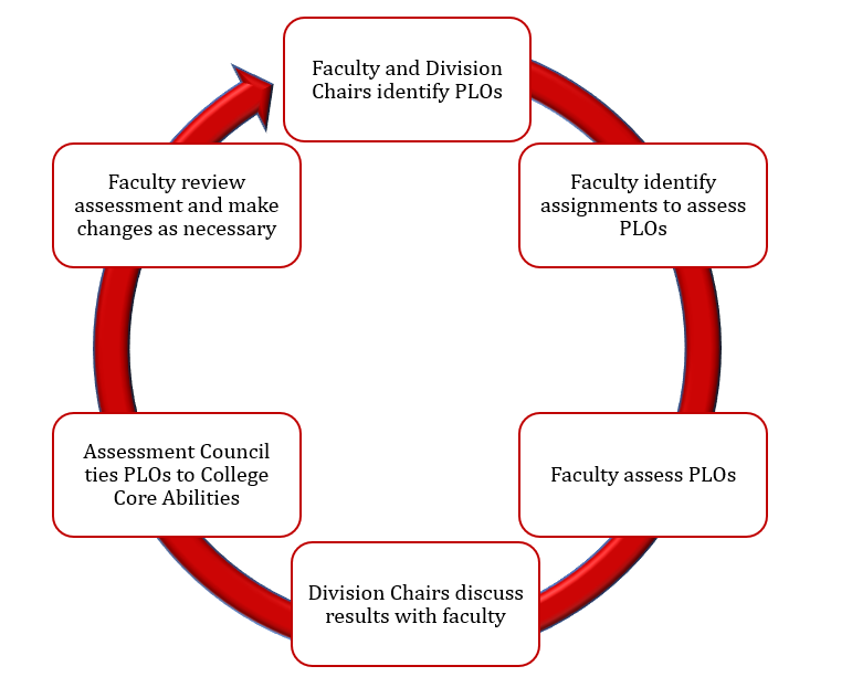 Assessment Process Graphic